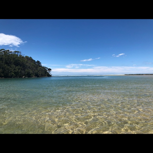 carinconlon